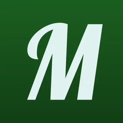 Метком, лого-визитка